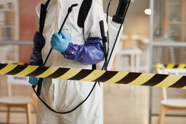 Professional Sewage Cleanup technician working in Kirkland, IL
